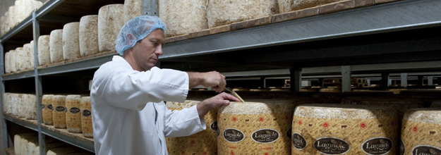 Checking cheese with a bore